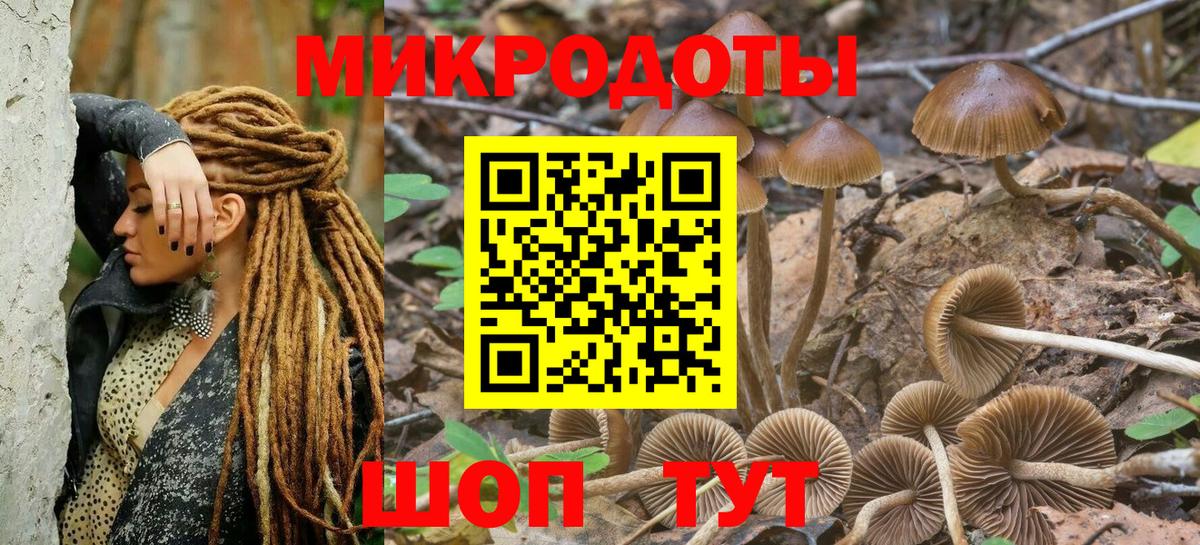 Псилоцибиновые грибы Psilocybe  Вход с VPN  Кушва 