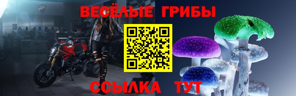 Галлюциногенные грибы Psilocybine cubensis Кушва